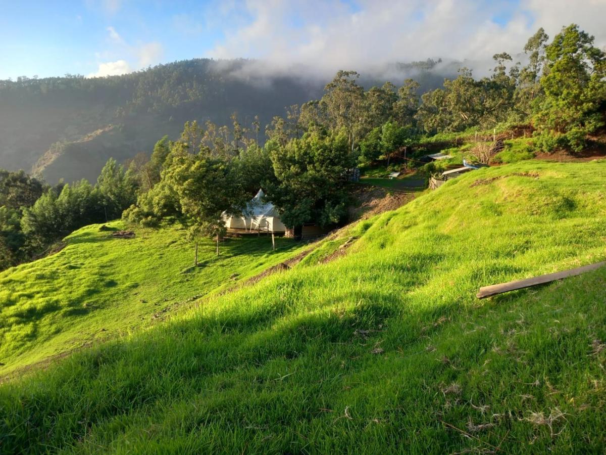 Arambha Ecovillage Farmstay Tabua  Ngoại thất bức ảnh