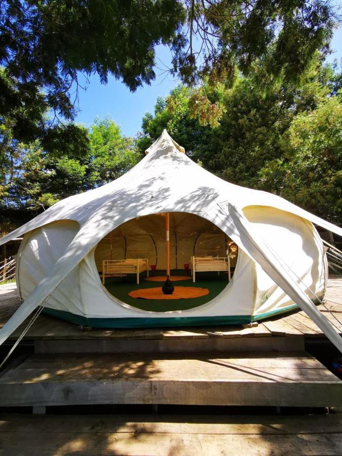 Arambha Ecovillage Farmstay Tabua  Ngoại thất bức ảnh