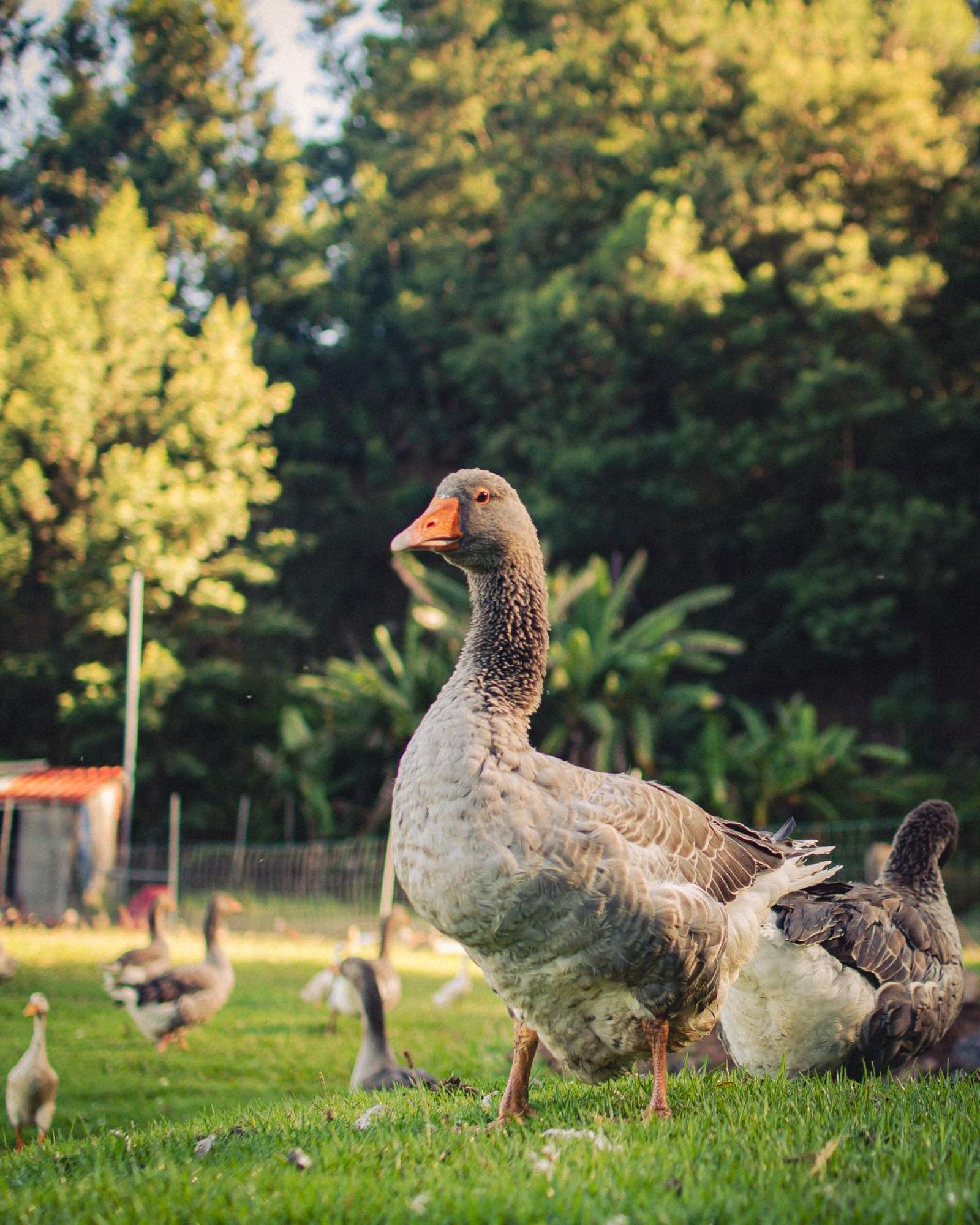 Arambha Ecovillage Farmstay Tabua  Ngoại thất bức ảnh