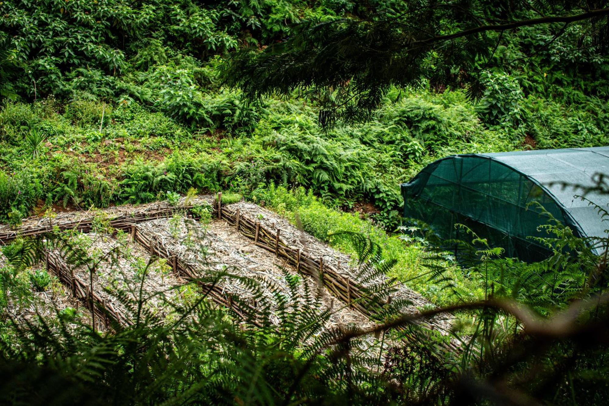 Arambha Ecovillage Farmstay Tabua  Ngoại thất bức ảnh